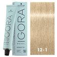 Igora Royal Highlifts 12-1 Special Blonde Cendre 2oz