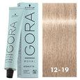 Igora Royal Highlifts 12-19 Special Blonde Cendre Violet 2oz