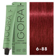 Igora Zero AMM 6-88 Dark Blonde Red Extra 2oz