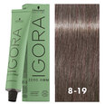 Igora Zero AMM 8-19 Light Blonde Cendre Violet 2oz