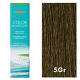 Moroccanoil Color Rhapsody 5Gr/5.7 Light Matte Brown 2oz