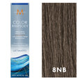Moroccanoil Color Rhapsody Ultimate 8NB/8.01 Light Natural Ash Blonde 2oz
